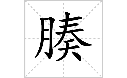 腠的笔顺笔画怎么写(腠的拼音、部首、解释及成语解读)