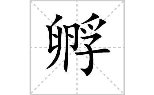 孵的笔顺笔画怎么写(孵的拼音、部首、解释及成语解读)