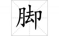 脚字怎么写好看（脚的笔顺、笔画书写教程）