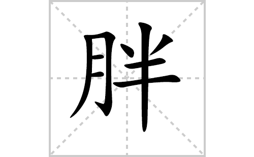 胖的笔顺笔画怎么写（胖的笔画、拼音、解释及成语详解）