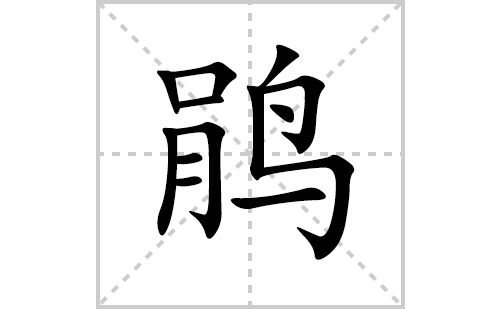 鹃的笔顺笔画怎么写(鹃的拼音、部首、解释及成语解读)