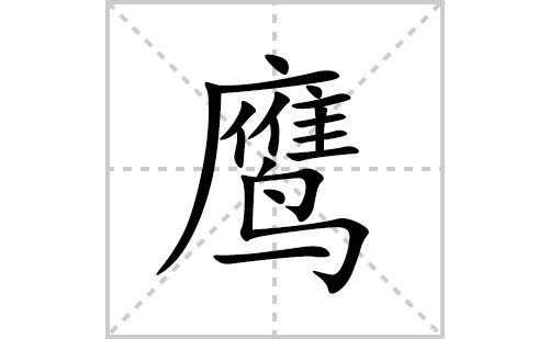 鹰的笔顺笔画怎么写(鹰的拼音、部首、解释及成语解读)