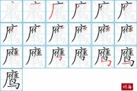 鹰的笔顺笔画怎么写-汉字鹰的拼音、部首及成语组词