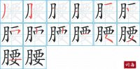 腰的笔顺笔画怎么写-汉字腰的拼音、部首及成语组词