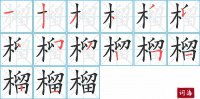 榴的笔顺笔画怎么写-汉字榴的拼音、部首及成语组词