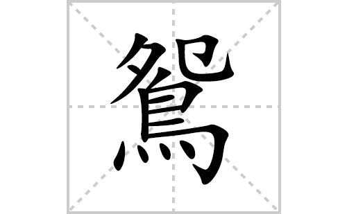 鴛的笔顺笔画怎么写(鴛的拼音、部首、解释及成语解读)