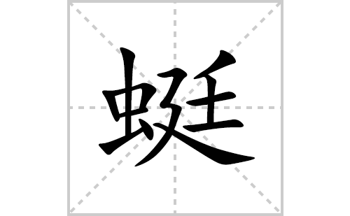 蜓的笔顺笔画怎么写(蜓的拼音、部首、解释及成语解读)