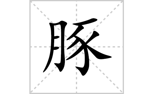 豚的笔顺笔画怎么写(豚的拼音、部首、解释及成语解读)