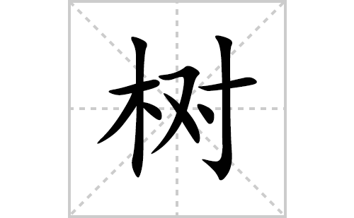 树的笔顺笔画怎么写(树的拼音、部首、解释及成语解读)