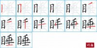 睡的笔顺笔画怎么写-汉字睡的拼音、部首及成语组词