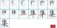 集的笔顺笔画怎么写-汉字集的拼音、部首及成语组词