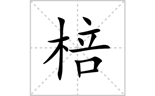 棓的笔顺笔画怎么写(棓的拼音、部首、解释及成语解读)